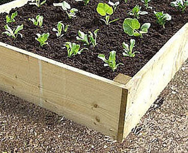Raised beds, thicker timber range.  In a variety of sizes for any garden, or allotment