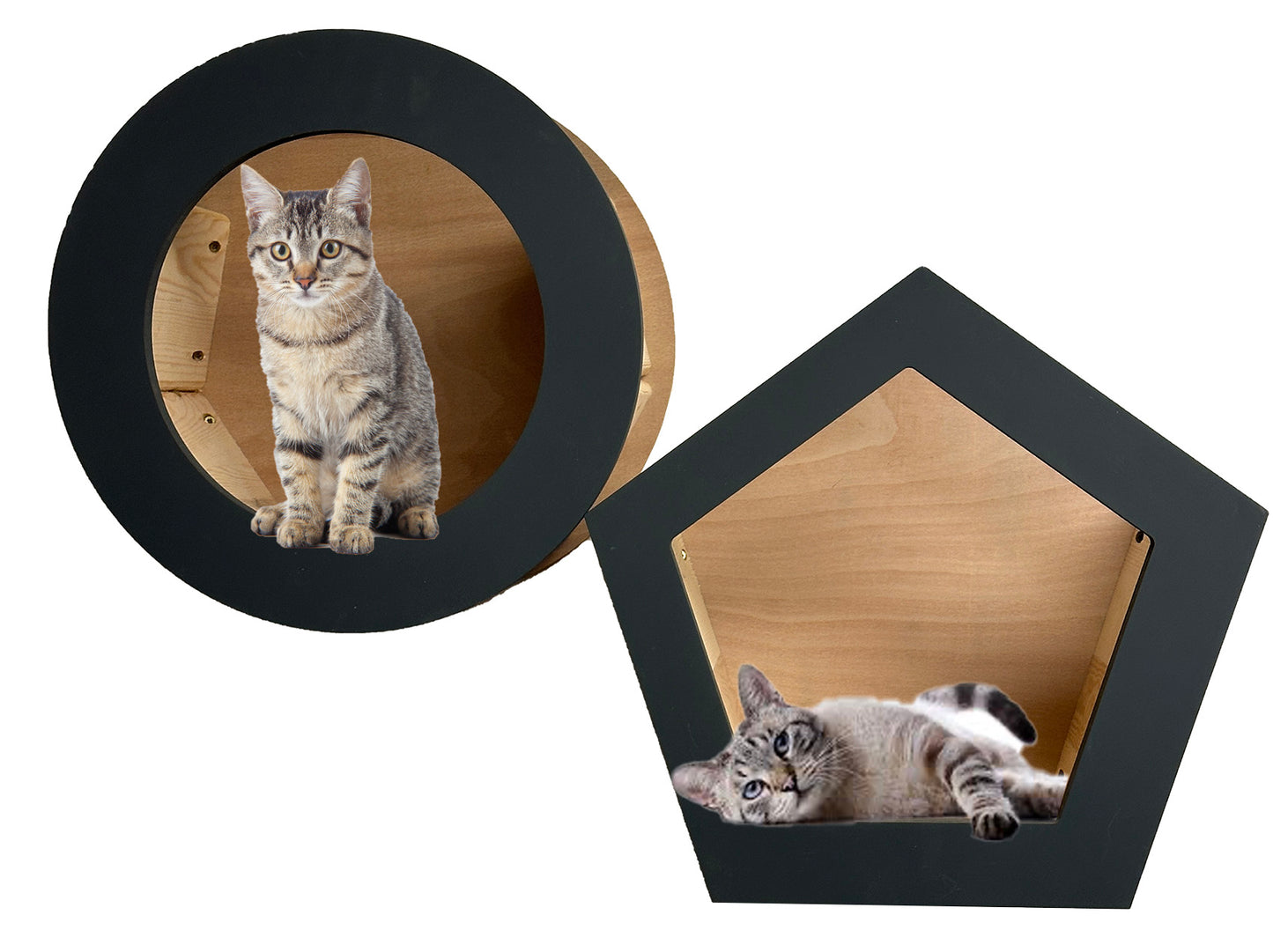 Cat wall houses, all you need to make your cat comfortable without looking like an eyesore