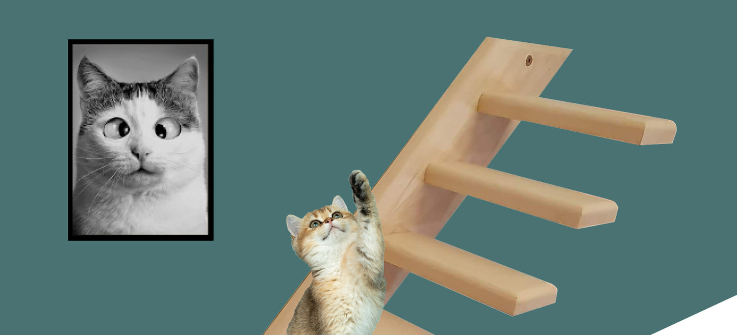 Cat Wall Ladder, Catio style in solid wood with no staining