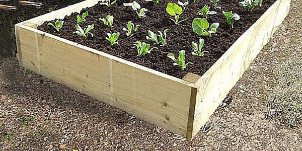 Raised beds. These beds come in a variety of sizes to suit any garden, allotment