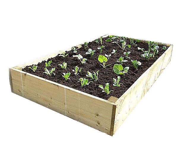 Raised beds. These beds come in a variety of sizes to suit any garden, allotment